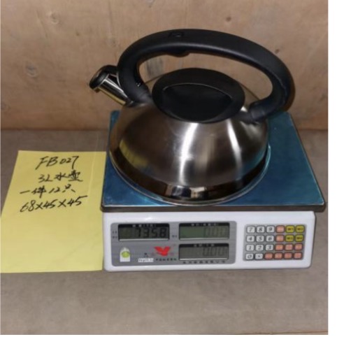 Modern Brushed Stainless Steel Whistling Kettle 3l