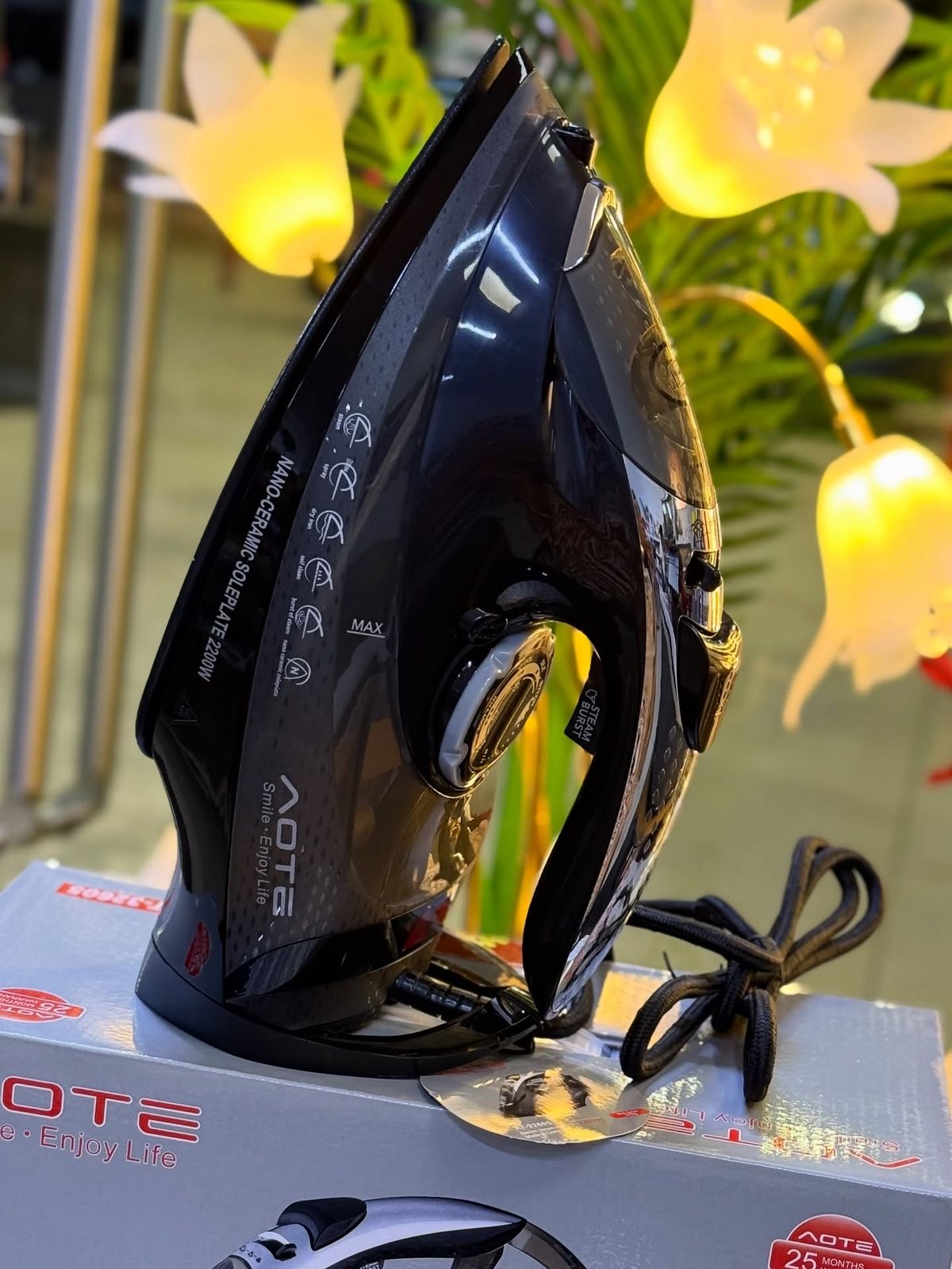 Electric Iron